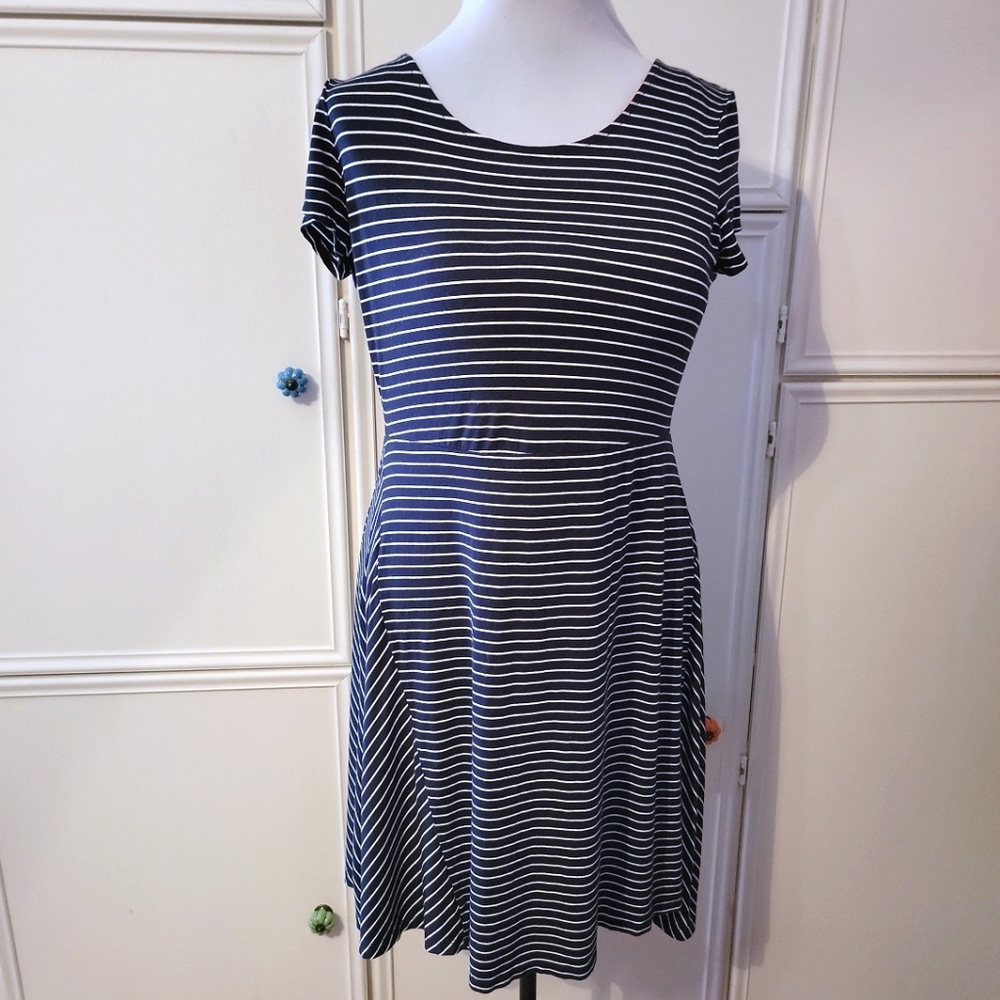 The Limited Navy & White Striped Dress w/ Red Zipper.